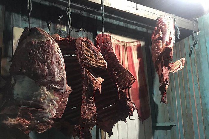 Polêmica, carne de cavalo é consumida em vários países; veja pratos