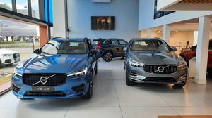 Imagem Volvo Car Brasil faz live em oito canais simultâneos; Pajuçara AutoLive participou