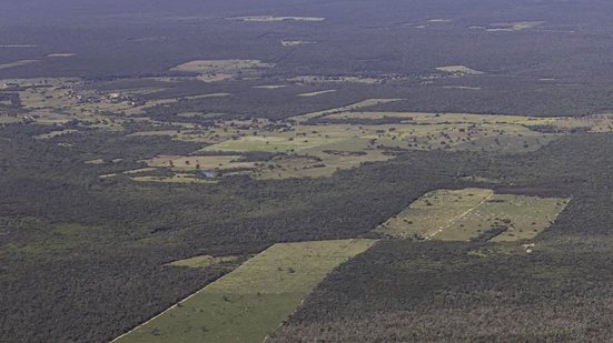 De janeiro a junho, foram desmatados 21.401 hectares, ante 47.896 em 2023, segundo levantamento divulgado pela Fundação SOS Mata Atlântica - © Thomas Bauer/ SOS Mata Atlântica