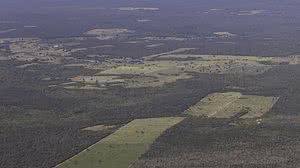 De janeiro a junho, foram desmatados 21.401 hectares, ante 47.896 em 2023, segundo levantamento divulgado pela Fundação SOS Mata Atlântica - © Thomas Bauer/ SOS Mata Atlântica