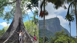 Ashley Biden posa com imponente sumaúma do Jardim Botânico, e mostra vista para o Cristo Redentor em meio às árvores - Foto: Reprodução/Redes Sociais