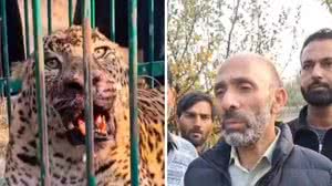 Deputado Sheikh Khurshid fez alerta para presença de leopardos perigosos na regiã - Foto: Reprodução/Facebook