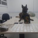 Com ajuda de cão farejador, polícia encontra drogas em casa de suspeito - Divulgação / Polícia Militar