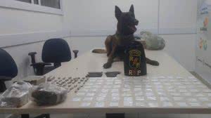 Com ajuda de cão farejador, polícia encontra drogas em casa de suspeito - Divulgação / Polícia Militar