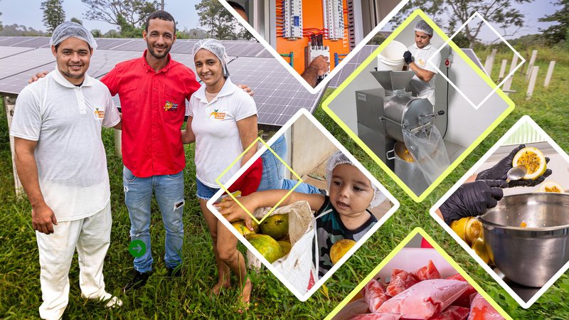 Imagem De volta ao campo: família migra para a zona rural e empreende com agricultura familiar e energia limpa