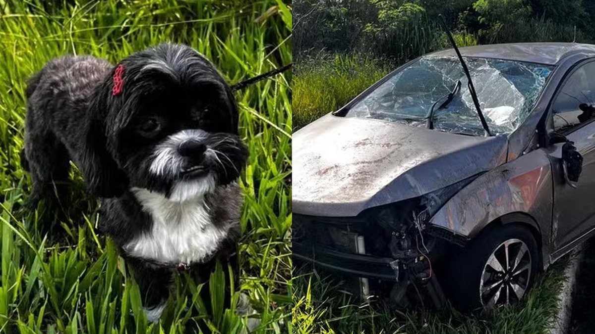 Motorista capota carro com 2 crianças após cachorro pular no colo dela