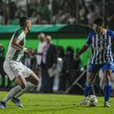 CSA e Murici em jogo no Campeonato Alagoano de 2024. - Augusto Oliveira/CSA