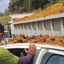 O acidente foi registrado na manhã desta sexta-feira (10) - Foto: Cortesia