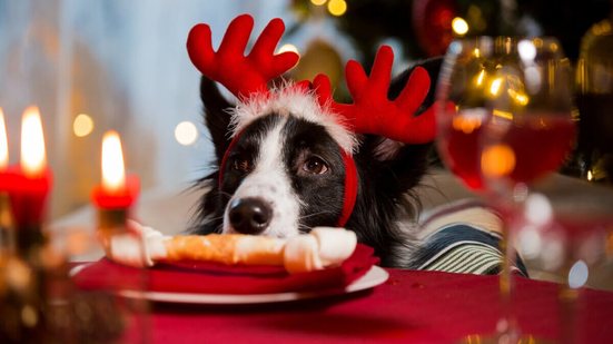 Pratos festivos podem ser prejudiciais à saúde dos cachorros (Imagem: Aleksandra Suzi | Shutterstock)