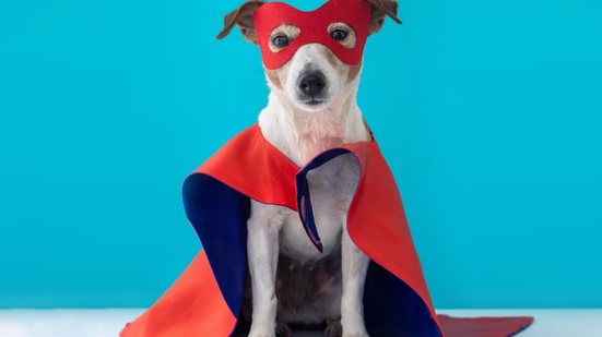 Nomes de cachorros inspirados em personagens da Marvel e DC expressam uma homenagem aos heróis e vilões icônicos das franquias (Imagem: Demkat | Shutterstock)