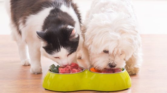 Com alimentos frescos e naturais, a dieta dos pets pode se tornar mais rica e equilibrada (Imagem: Monika Wisniewska | Shutterstock)