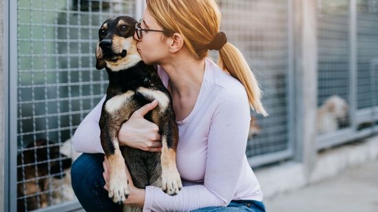 A compra de cachorros está associada a diversas questões negativas (Imagem: hedgehog94 | Shutterstock)