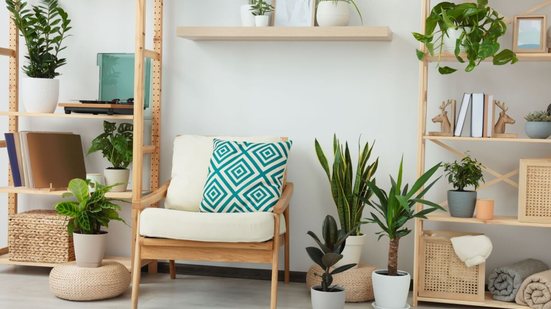 As plantas trazem vida para a decoração e refrescam o ambiente (Imagem: New Africa | Shutterstock)