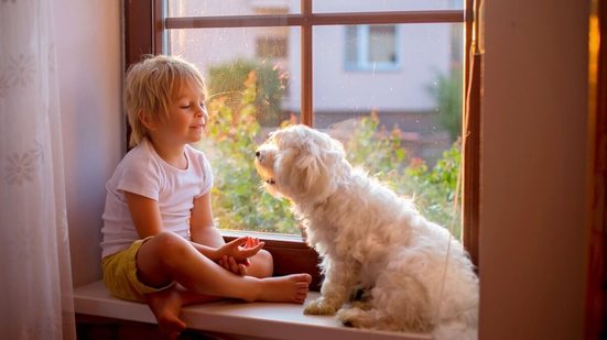 Os cães são ótimos companheiros para as crianças (Imagem: Tomsickova Tatyana | Shutterstock)