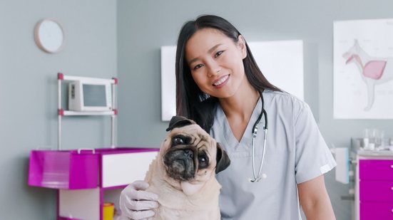 A castração traz benefícios à saúde do cachorro e mudanças em seu comportamento (Imagem: VesnaArt | Shutterstock)