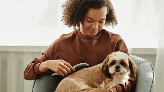 Escovar os pelos dos animais é fundamental para mantê-los saudáveis (Imagem: SeventyFour |  Shutterstock)