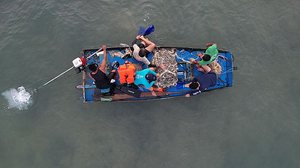 Divulgação / Biota