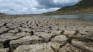 Alfeu Tavares/Folha de Pernambuco