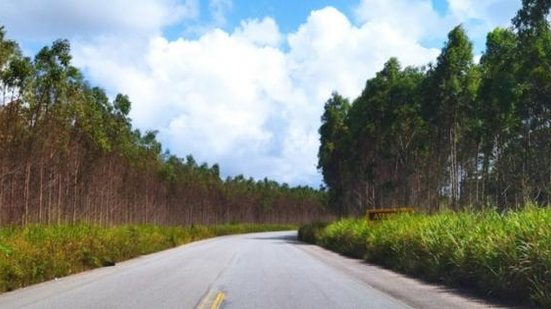 Foto: Reprodução / Google