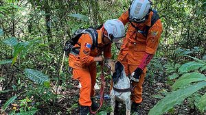 Corpo de Bombeiros