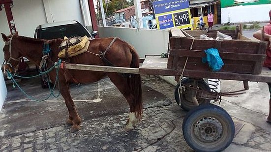 Foto: Cortesia / Ascom Ronda no Bairro