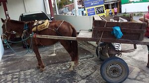 Foto: Cortesia / Ascom Ronda no Bairro