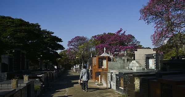 Foto: Rovena Rosa / Agência Brasil