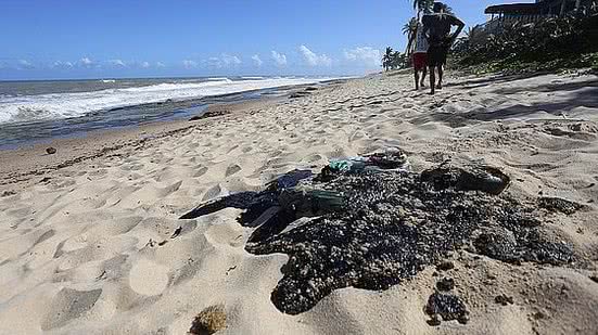 Petróleo na praia Porto de Sauípe | Correio 24 Horas