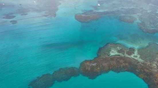 Órgãos estaduais informam que "não há, neste momento, orientação para evitar a ida à praia ou o banho de mar, salvo se a população identificar manchas associadas a fortes odores" | Foto: DIVULGAÇÃO/CPRH