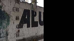 Agente do Ronda no Bairro tentando pular o muro do terreno onde o corpo foi encontrado | Hélio Góes /Rádio Pajuçara