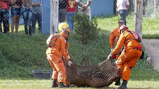 Imagem Sobe para 11 o número de mortos de tragédia em Brumadinho