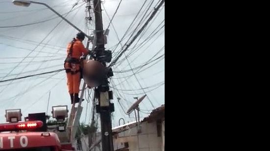 Imagem Homem sobe em poste, sofre descarga elétrica e morre no Vergel do Lago