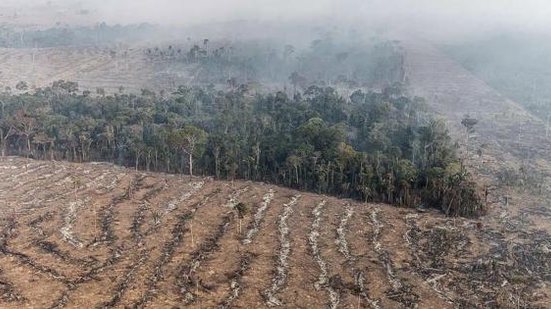 A quantidade de agentes ainda será definida | Foto: Marizilda Cruppe / Greenpeace