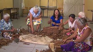 Imagem Os cânticos das destaladeiras de fumo e coco de roda: cultura do Agreste é tema de oficina