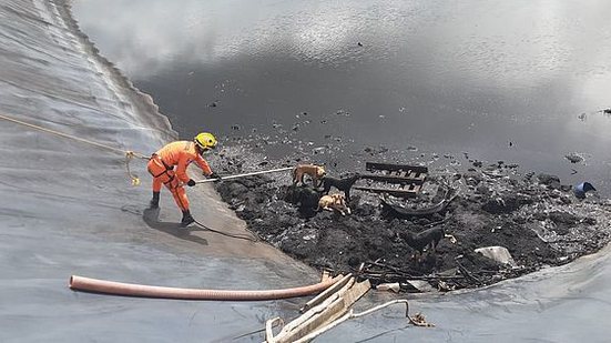 Foto: Cortesia / Ascom Bombeiros