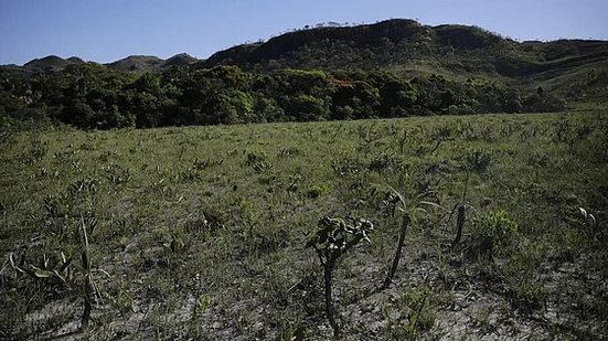 Foto: Reprodução/Agência Brasil