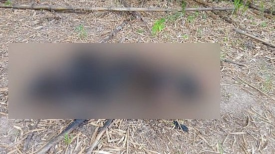 Imagem Corpo é encontrado amarrado, decapitado e carbonizado, no interior de AL