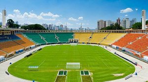 Jogo entre Palmeiras e CSA será no Pacaembu | Divulgação São Paulo Guide