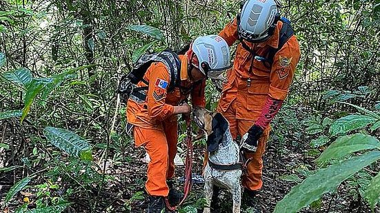 Foto: Divulgação/CBM-AL