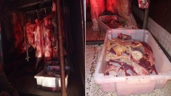 Carne estava guardada em baú de caminhão | Cortesia/BPRv