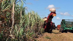 Arquivo/Agência Brasil