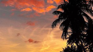 Atrações do Pôr do Sol Cultural atraem turistas e frequentadores da orla de Maceió | Reprodução / Lucas Meneses / Instagram