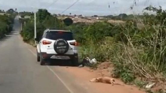 Imagem Motorista que arrastou cachorro diz que animal já estava morto e que é contra violência