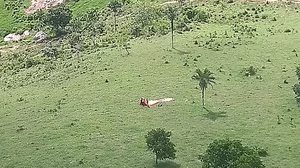 Acidente aconteceu na Zona Rural do Município. | Cortesia ao TNH1