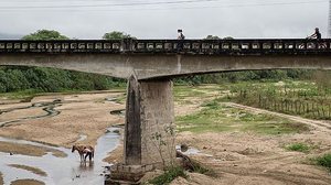 Dois Riachos, AL, 19.09.2023: Homem lava seu cavalo no rio quase seco Dois Riachos, na cidade de mesmo nome no sertão de Alagoas as margens da rodovia BR 316 | Eduardo Knapp / Folhapress