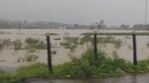 Rio Mundaú em União dos Palmares | Reprodução