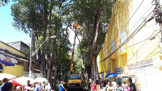 Imagem Linhas têm itinerário alterado para serviço na Rua das Árvores