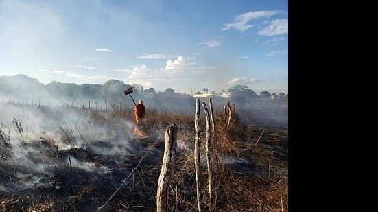 Alagoas registra queda de 7% nas ocorrências de incêndios em vegetação | Corpo de Bombeiros