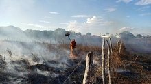 Alagoas registra queda de 7% nas ocorrências de incêndios em vegetação | Corpo de Bombeiros