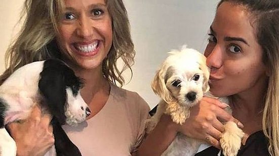 Imagem Anitta e Luísa Mell flagram abandono de cachorros em estrada